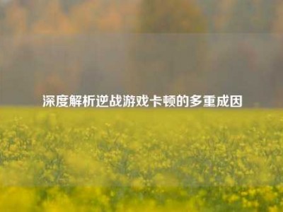 深度解析逆战游戏卡顿的多重成因