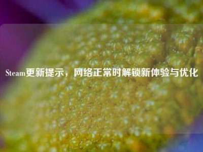 Steam更新提示，网络正常时解锁新体验与优化