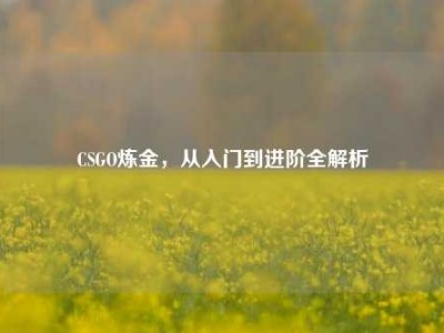 CSGO炼金，从入门到进阶全解析
