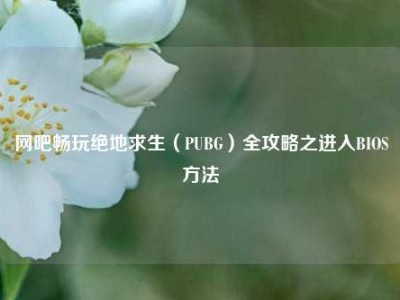 网吧畅玩绝地求生（PUBG）全攻略之进入BIOS方法