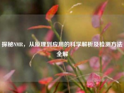 探秘NMR，从原理到应用的科学解析及检测方法全解