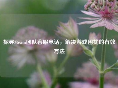 探寻Steam团队客服电话，解决游戏困扰的有效方法