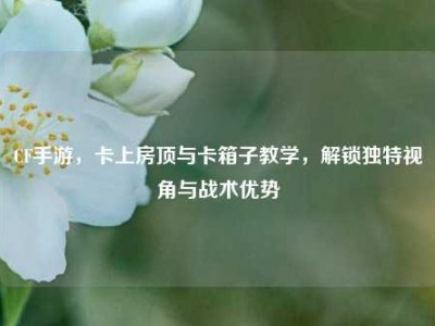 CF手游，卡上房顶与卡箱子教学，解锁独特视角与战术优势
