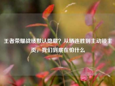 王者荣耀战绩默认隐藏？从晒连胜到主动锁主页，我们到底在怕什么