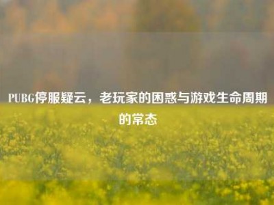 PUBG停服疑云，老玩家的困惑与游戏生命周期的常态