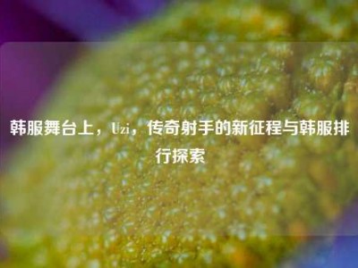 韩服舞台上，Uzi，传奇射手的新征程与韩服排行探索