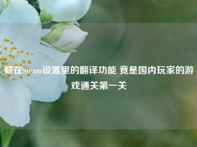 藏在Steam设置里的翻译功能 竟是国内玩家的游戏通关第一关