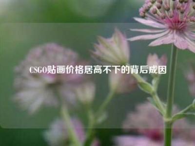 CSGO贴画价格居高不下的背后成因