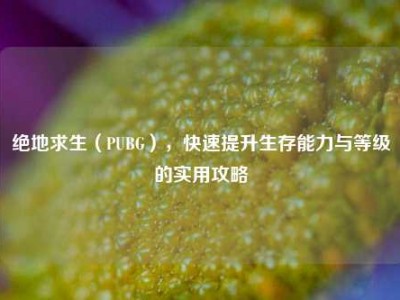 绝地求生（PUBG），快速提升生存能力与等级的实用攻略