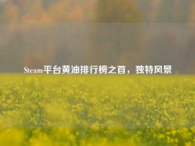 Steam平台黄油排行榜之首，独特风景