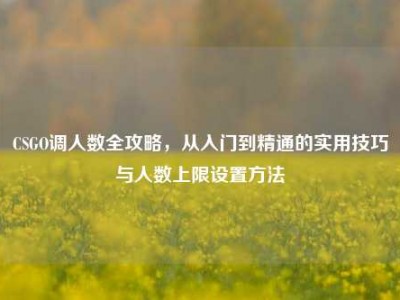 CSGO调人数全攻略，从入门到精通的实用技巧与人数上限设置方法