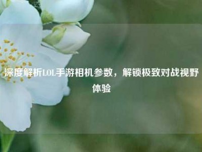 深度解析LOL手游相机参数，解锁极致对战视野体验