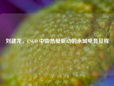 刘建龙，CSGO 中由热爱驱动的永城电竞征程