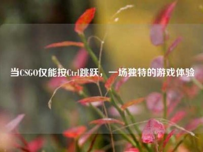 当CSGO仅能按Ctrl跳跃，一场独特的游戏体验
