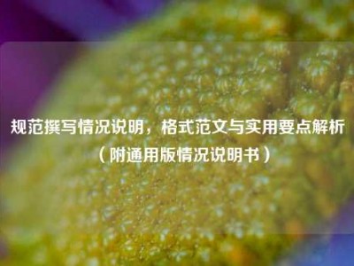 规范撰写情况说明，格式范文与实用要点解析（附通用版情况说明书）