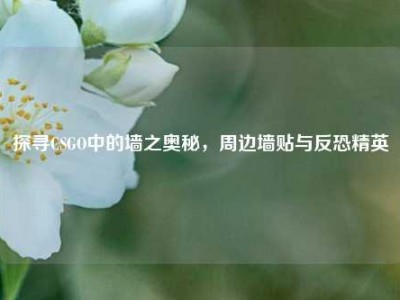 探寻CSGO中的墙之奥秘，周边墙贴与反恐精英