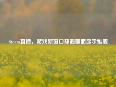 Steam直播，游戏新窗口却遇画面显示难题