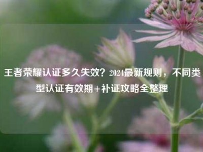 王者荣耀认证多久失效？2024最新规则，不同类型认证有效期+补证攻略全整理