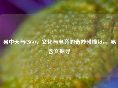 易中天与CSGO，文化与电竞的奇妙碰撞及csgo易含义探寻