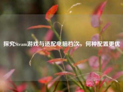探究Steam游戏与适配电脑档次，何种配置更优