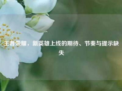 王者荣耀，新英雄上线的期待、节奏与提示缺失