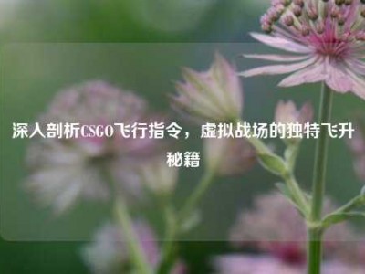 深入剖析CSGO飞行指令，虚拟战场的独特飞升秘籍