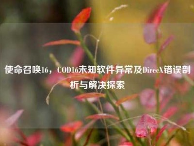 使命召唤16，COD16未知软件异常及DirecX错误剖析与解决探索