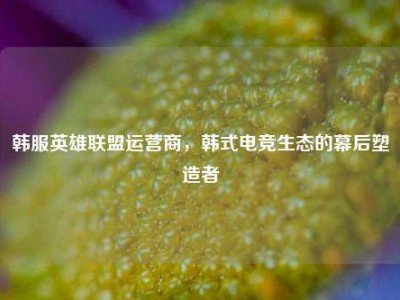 韩服英雄联盟运营商，韩式电竞生态的幕后塑造者