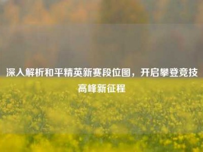 深入解析和平精英新赛段位图，开启攀登竞技高峰新征程