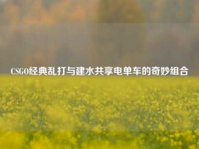 CSGO经典乱打与建水共享电单车的奇妙组合