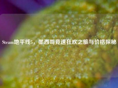 Steam地平线5，墨西哥竞速狂欢之旅与价格探秘