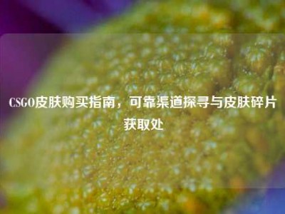 CSGO皮肤购买指南，可靠渠道探寻与皮肤碎片获取处