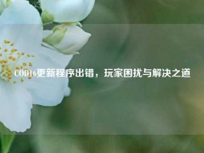 COD16更新程序出错，玩家困扰与解决之道