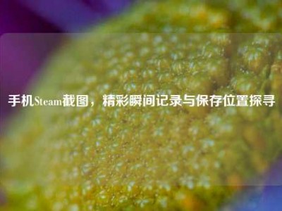 手机Steam截图，精彩瞬间记录与保存位置探寻
