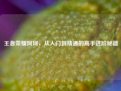 王者荣耀阿珂，从入门到精通的高手进阶秘籍