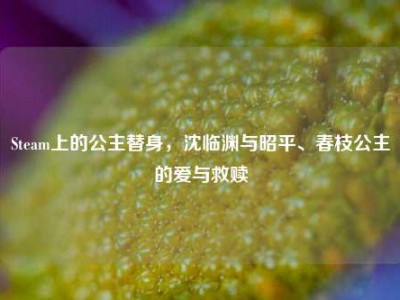 Steam上的公主替身，沈临渊与昭平、春枝公主的爱与救赎