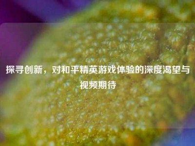 探寻创新，对和平精英游戏体验的深度渴望与视频期待
