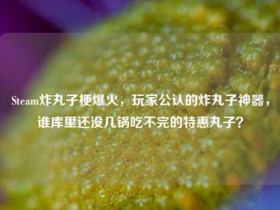 Steam炸丸子梗爆火，玩家公认的炸丸子神器，谁库里还没几锅吃不完的特惠丸子？