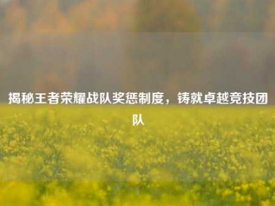 揭秘王者荣耀战队奖惩制度，铸就卓越竞技团队