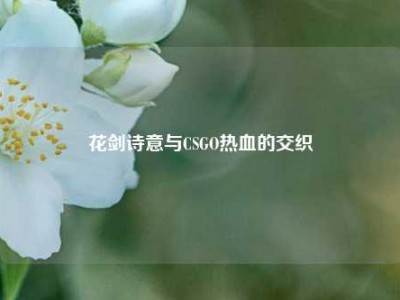 花剑诗意与CSGO热血的交织