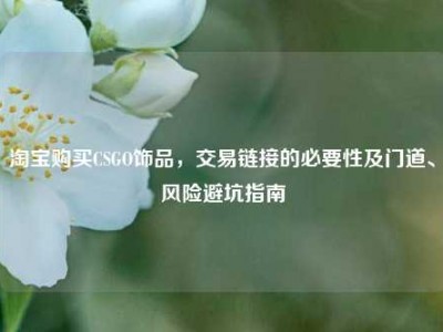 淘宝购买CSGO饰品，交易链接的必要性及门道、风险避坑指南