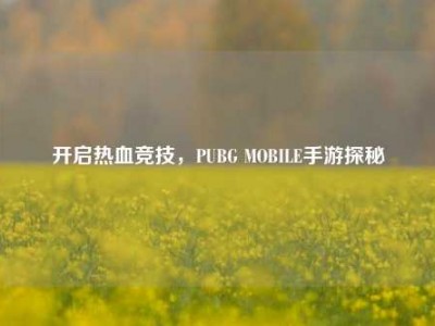 开启热血竞技，PUBG MOBILE手游探秘