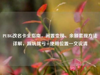 PUBG改名卡全指南，闲置变现、余额套现方法详解，踩坑就亏+使用位置一文说清