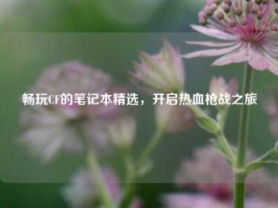 畅玩CF的笔记本精选，开启热血枪战之旅