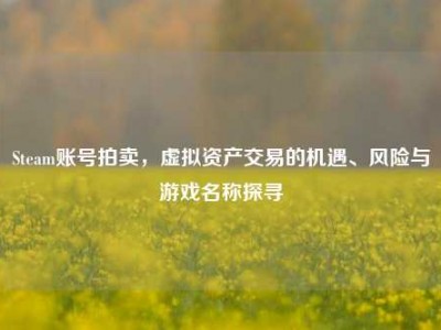 Steam账号拍卖，虚拟资产交易的机遇、风险与游戏名称探寻