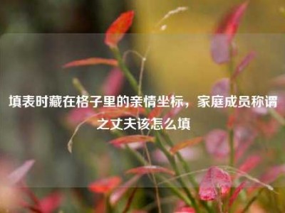 填表时藏在格子里的亲情坐标，家庭成员称谓之丈夫该怎么填