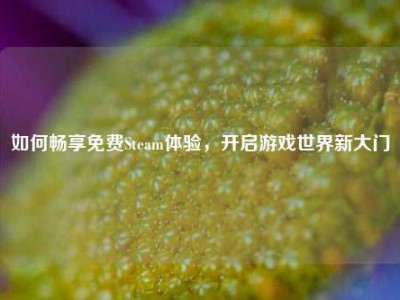 如何畅享免费Steam体验，开启游戏世界新大门