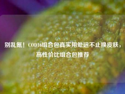 别乱氪！COD16组合包真实用处远不止换皮肤，高性价比组合包推荐