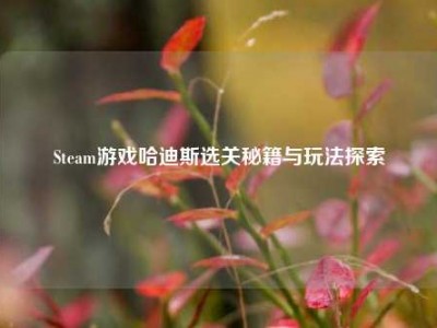 Steam游戏哈迪斯选关秘籍与玩法探索