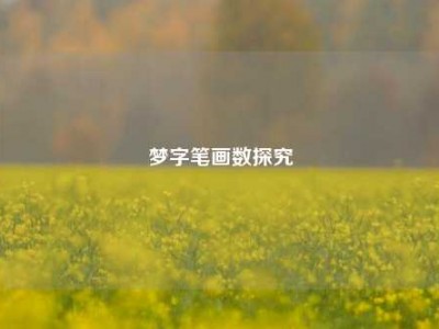 梦字笔画数探究